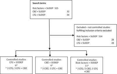 Antiseizure medication and SUDEP – a need for unifying methodology in research